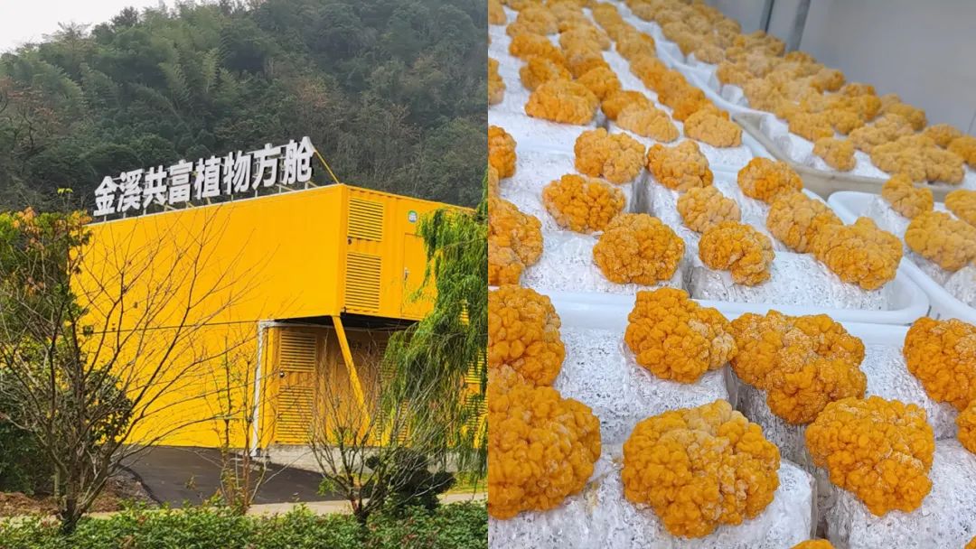 640 (2).jpg 640 (2).jpg