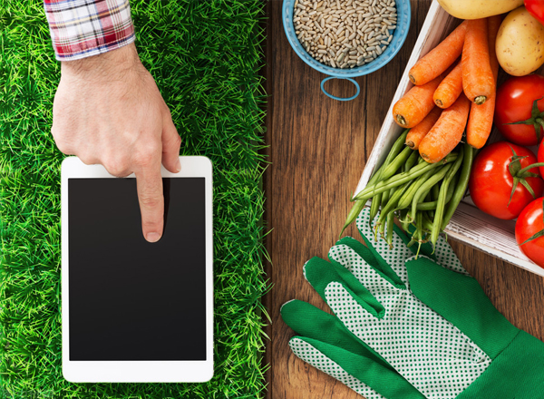 2022年，智慧農業的熱度會降低嗎？