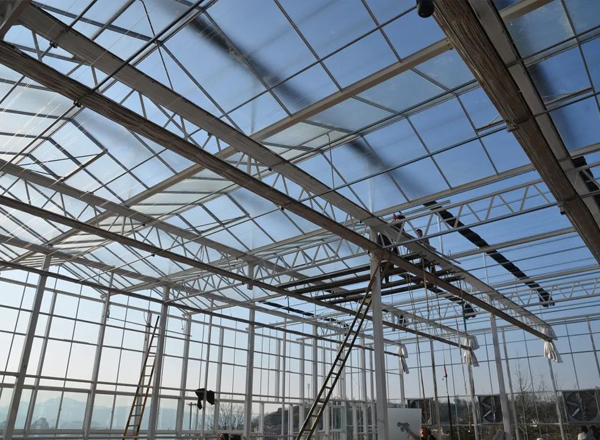 新春走基層?|?“金山”上建起智能溫室大棚